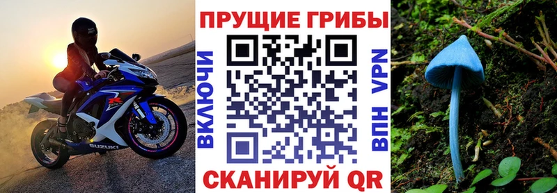 Галлюциногенные грибы Psilocybine cubensis Павловская